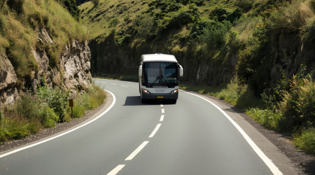 Can a Bus Cross the Centre Line in New Zealand? Legal Guidance for Road Transport